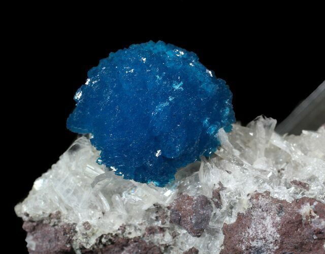 Vibrant Blue Cavansite Cluster on Stilbite - India #62884